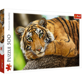 Puzzle 500 pieces Tiger portrait 37397