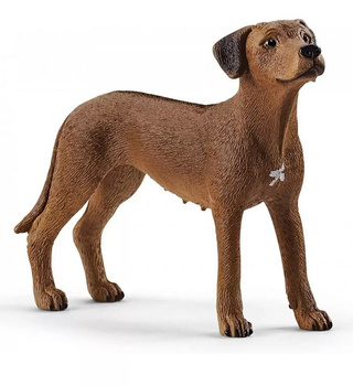 Schleich Rhodesian Ridgeback dog 20' 13895 07229