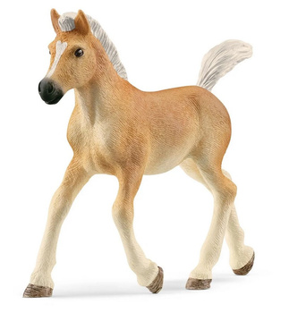 Schleich foal Haflinger 13951 - horse figurine