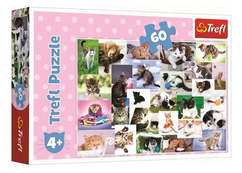 Puzzle 60 Cat World 17332