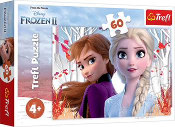 Puzzle 60 The Enchanted World of Anna and Elsa 17333