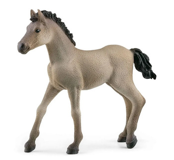 Schleich foal Criollo Definitivo 13949