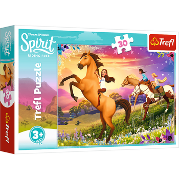 Puzzle 30 Spirit of Freedom 18250