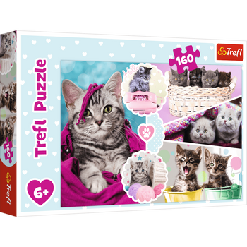 Puzzle 160 pieces Adorable kittens 15371