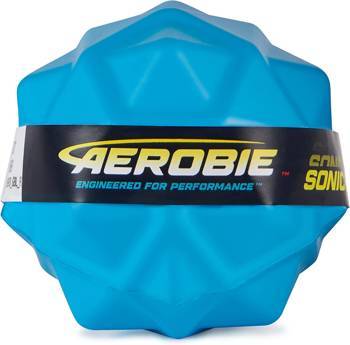 Aerobie Exercise Ball 6066382