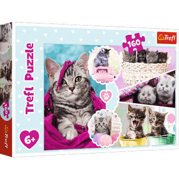 Puzzle 160 pieces Adorable kittens 15371