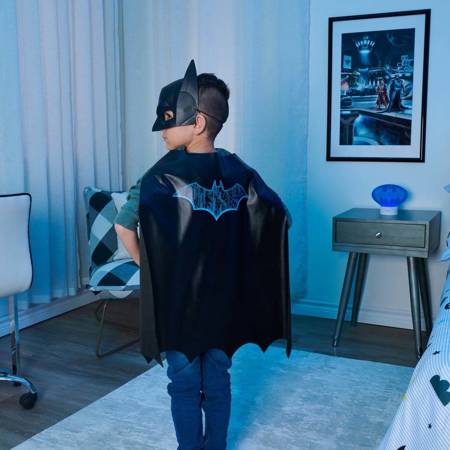 Batman mask and cape 6060825