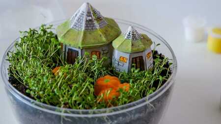 Harry Potter Terrarium 19248