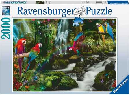 Puzzle 2000 pieces Parrots in the jungle 17111