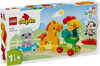 LEGO DUPLO Animal Train 10412 - Educational Toy for Children