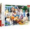 Puzzle 1000 pieces Dogs in the garden 10556