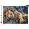 Puzzle 1000 pieces Sleeping lion 10447