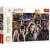 Trefl Puzzle 160 Harry Potter and Friends Warner 15418