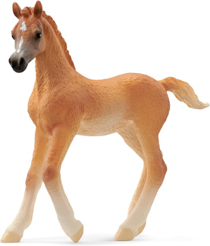 Schleich figurine poulain arabe pure race 13984 53690