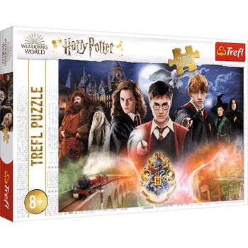 Puzzle 300 pièces Mystérieux Harry Potter 23001