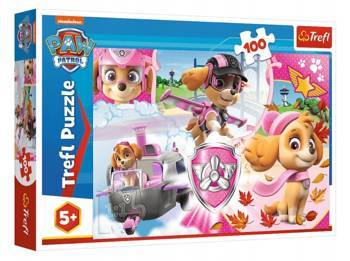 Puzzle 100 pièces Paw Patrol Sky en Action 16368