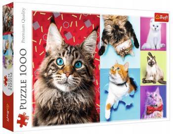 Puzzle 1000 pièces Chats heureux 10591