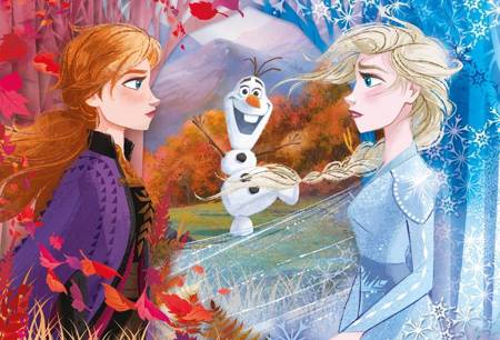 Puzzle 60 Maxi La Reine des Neiges 2 - 26452