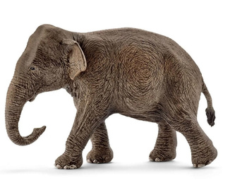 Schleich Asian elephant 14753 47539