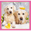 Puzzle 3 en 1 chiens dans le bain pour enfants 34845