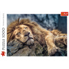 Puzzle 1000 pièces Lion endormi 10447