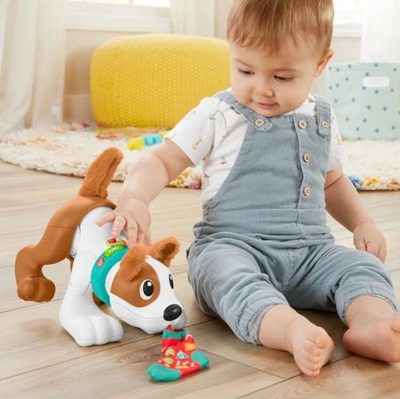 Educational Dog "Crawl with me" for Children HHH15