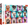 Puzzle 2000 pièces Portraits de chiens drôles 27119