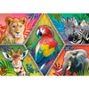 Trefl Puzzle 1000 pièces - Animaux exotiques 10671