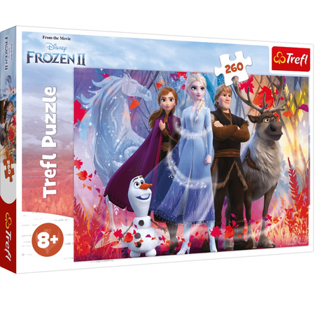 Puzzle 260 In search of adventure Frozen 2 13250