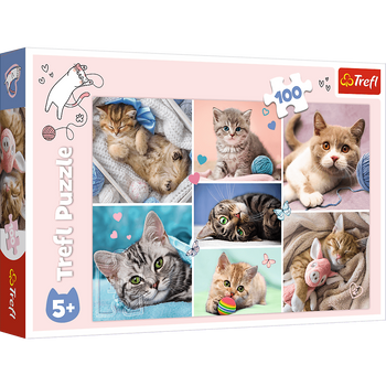 Puzzle 100 pieces In the cat's world 16420