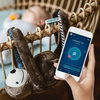 WHISBEAR E-zzy sloth with sleep monitor (with application) 95734