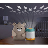 Calming teddy bear with fireflies GRR00