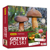 ADAMIGO Jeu de mémoire Grzyby Polski 07912