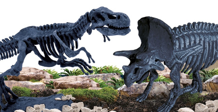 DANTE Lisciani I'm a genius Paleontological laboratory 01337