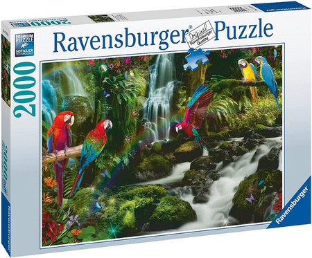 Puzzle 2000 pieces Parrots in the jungle 17111