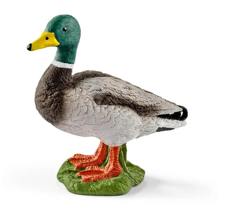 Canard Schleich 13824 25544