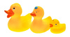HENCZ Duck family bath toy 825 68253