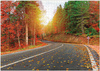 MAKSIK Puzzle 1000 pieces Autumn Forest Türkiye DOB1132 01132