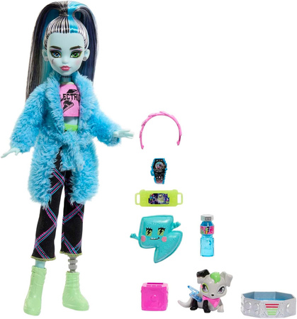 MATTEL Monster High doll Frankie Stein HKY68