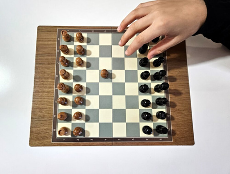 ALEXANDER Pièces d'échecs en bois FSC 100% 26887