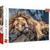 Puzzle 1000 pieces Sleeping lion 10447