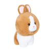 DAFFI Teddy Pets mascotte de lapin or T-026 00265