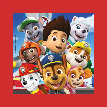 Clementoni Puzzle 60 Frame Paw Patrol 38808 - Puzzles pour enfants