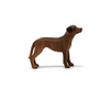 Schleich Rhodesian Ridgeback dog 20' 13895 07229