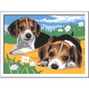 Painting by numbers CreArt Puppies 28939