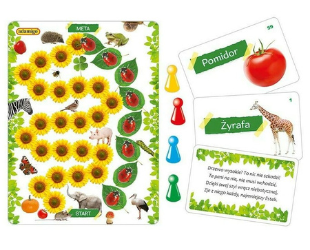 Nature quiz with riddles - board game for children 07554