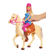 Poupée Barbie + cheval de base FXH13