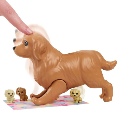 Barbie Dogs are born - set avec poupée HCK75