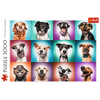 Puzzle 2000 pièces Portraits de chiens drôles 27119