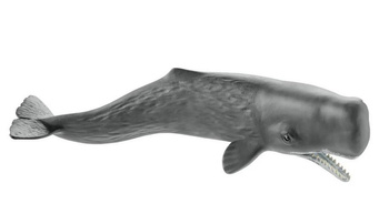 Schleich sperm whale 14764 47645